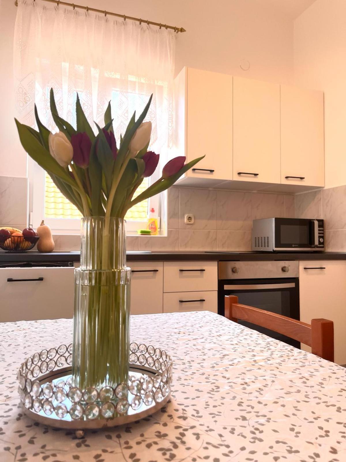 Family Holiday Apartments Lucia Vodice Buitenkant foto